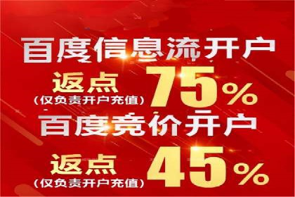 某品牌SEM广告策略揭秘——代运营公司的智慧